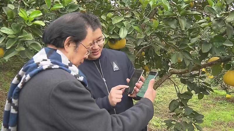 记者 陶冶