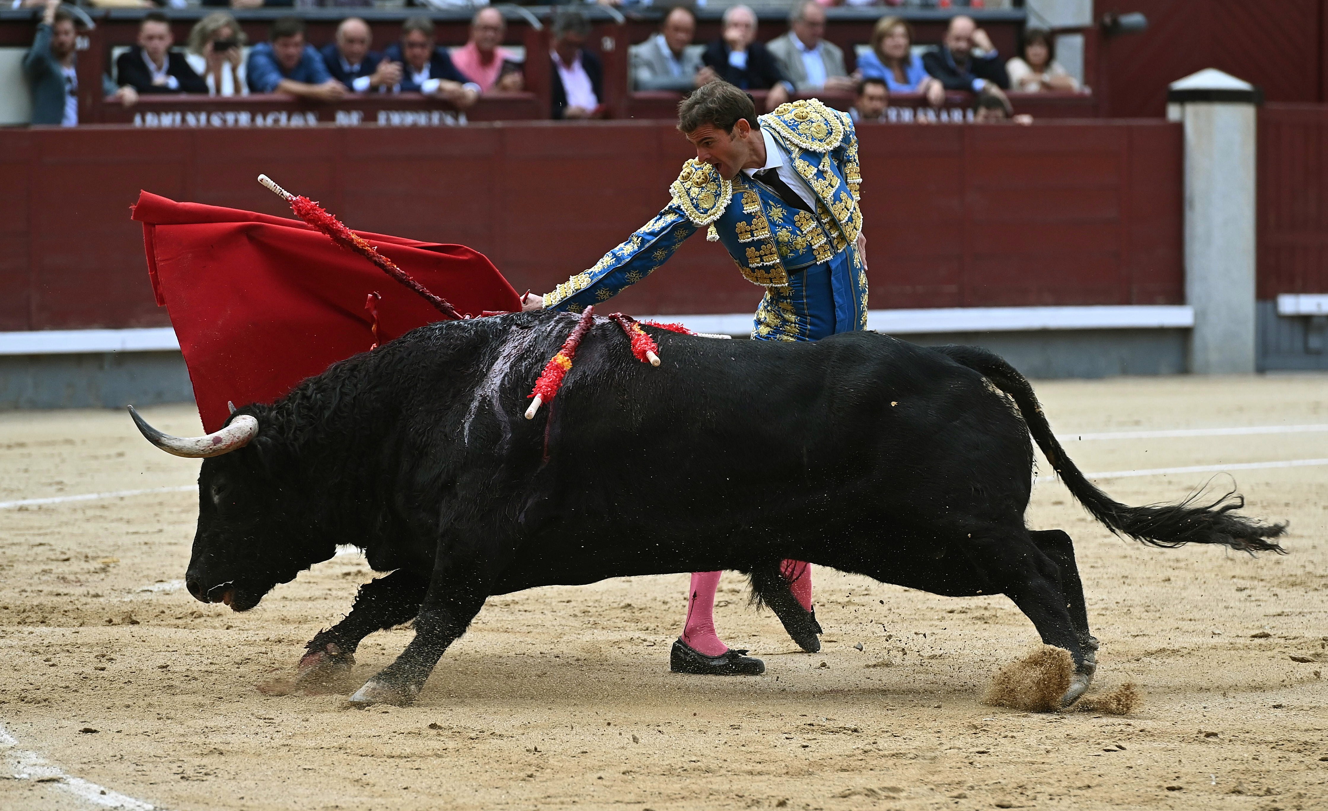 西班牙马德里斗牛