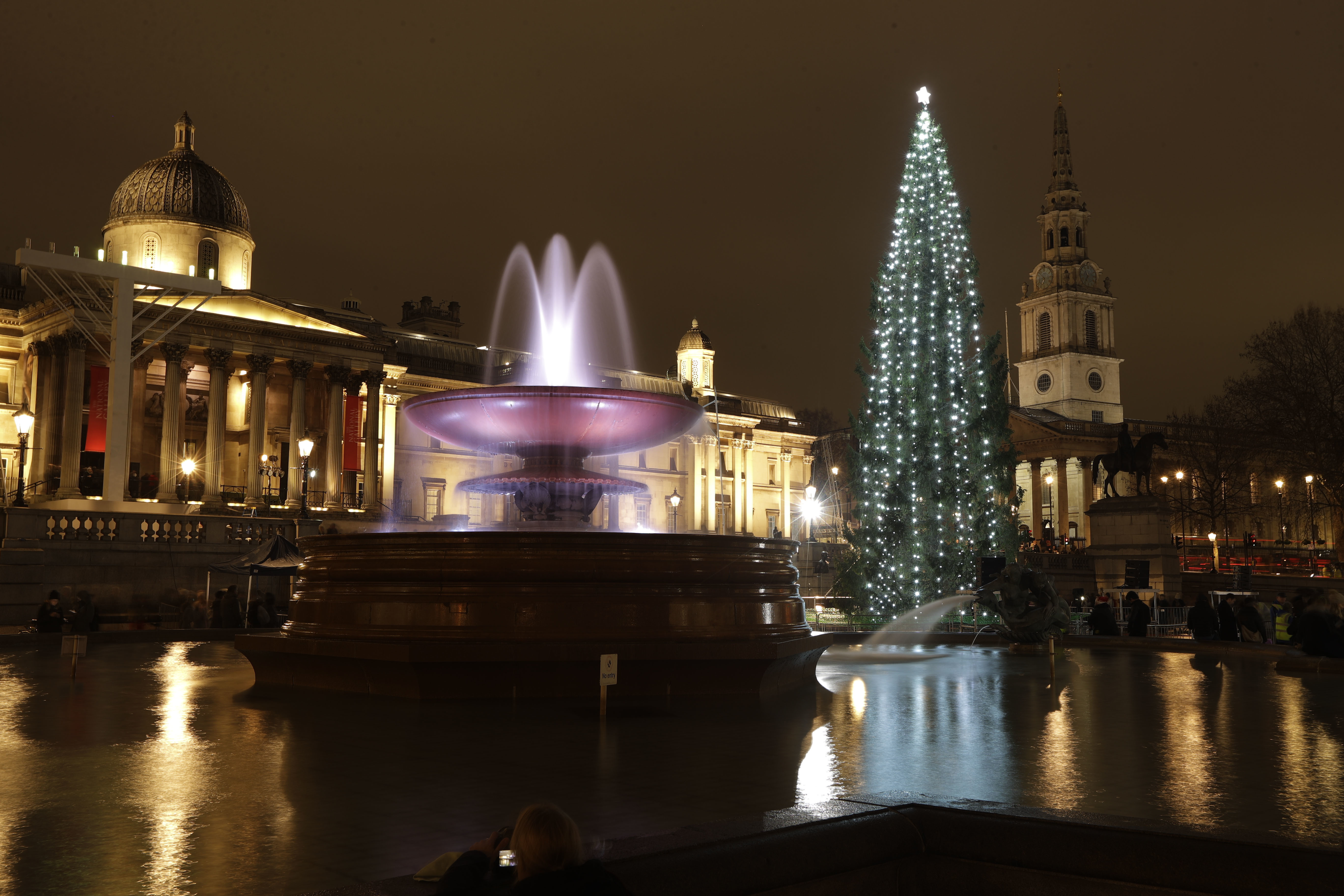 特拉法尔加广场圣诞树亮灯(2)