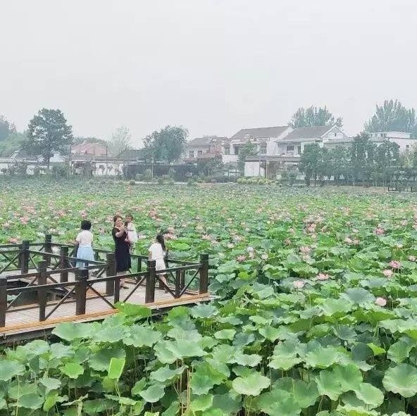 长垣市风景介绍图片