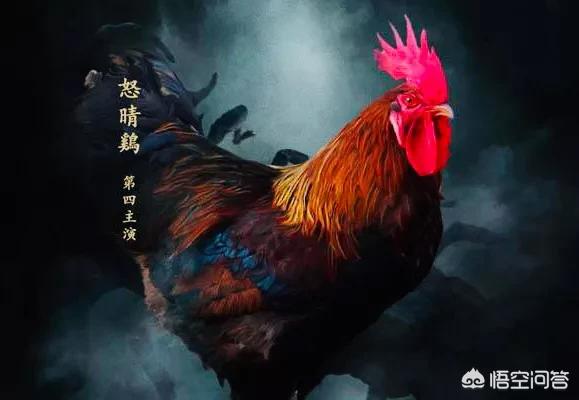 开头精品结束烂尾,希望剧情别再注水!