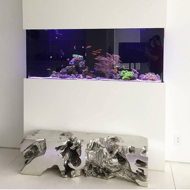 简单说说定制海缸的设计