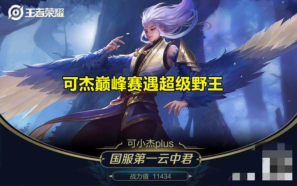 巅峰赛超级野王,云中君100%胜率吓傻观众,可杰1句话却揭露真相