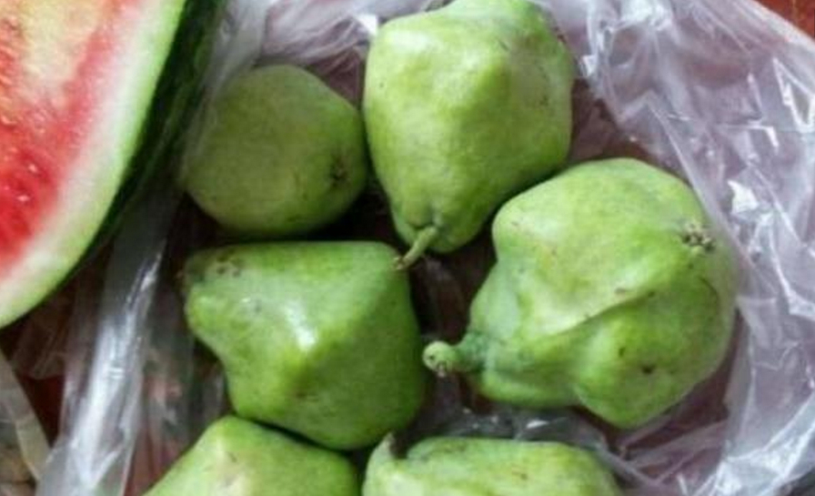 第四种:八角梨,它的名字虽然说叫做八角梨,但是并不能准确的说它就有8