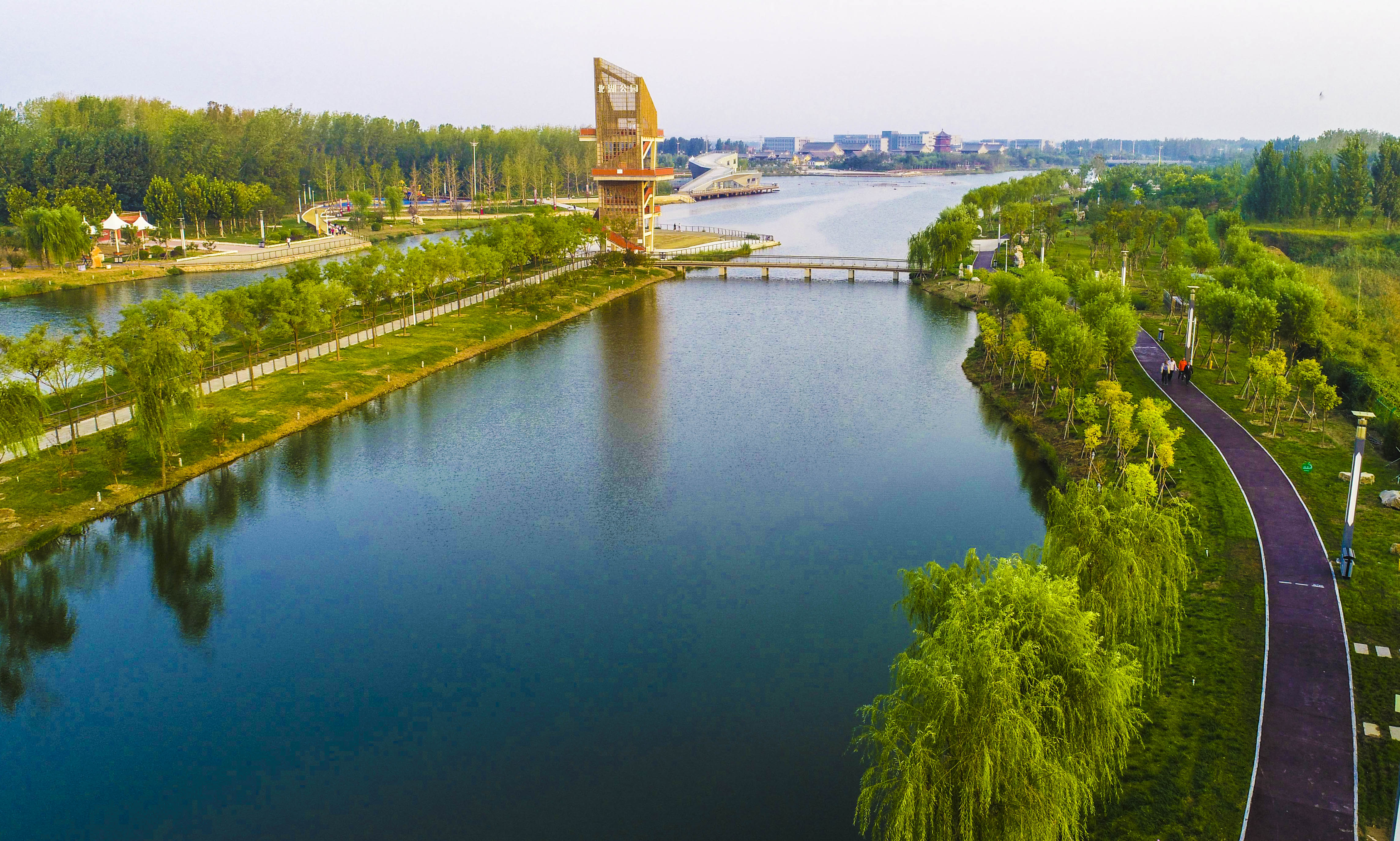 河北枣强:废弃污水坑塘变身生态公园(3)