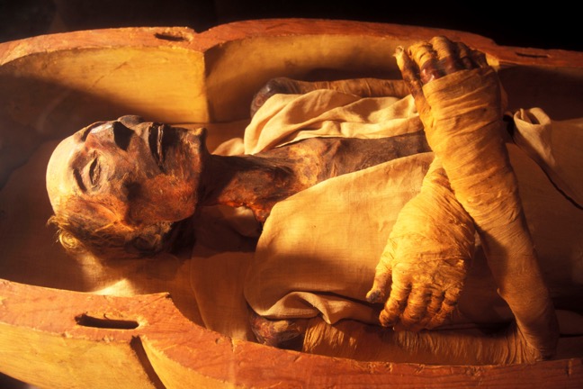 埃及木乃伊(egyptian"s mummy)