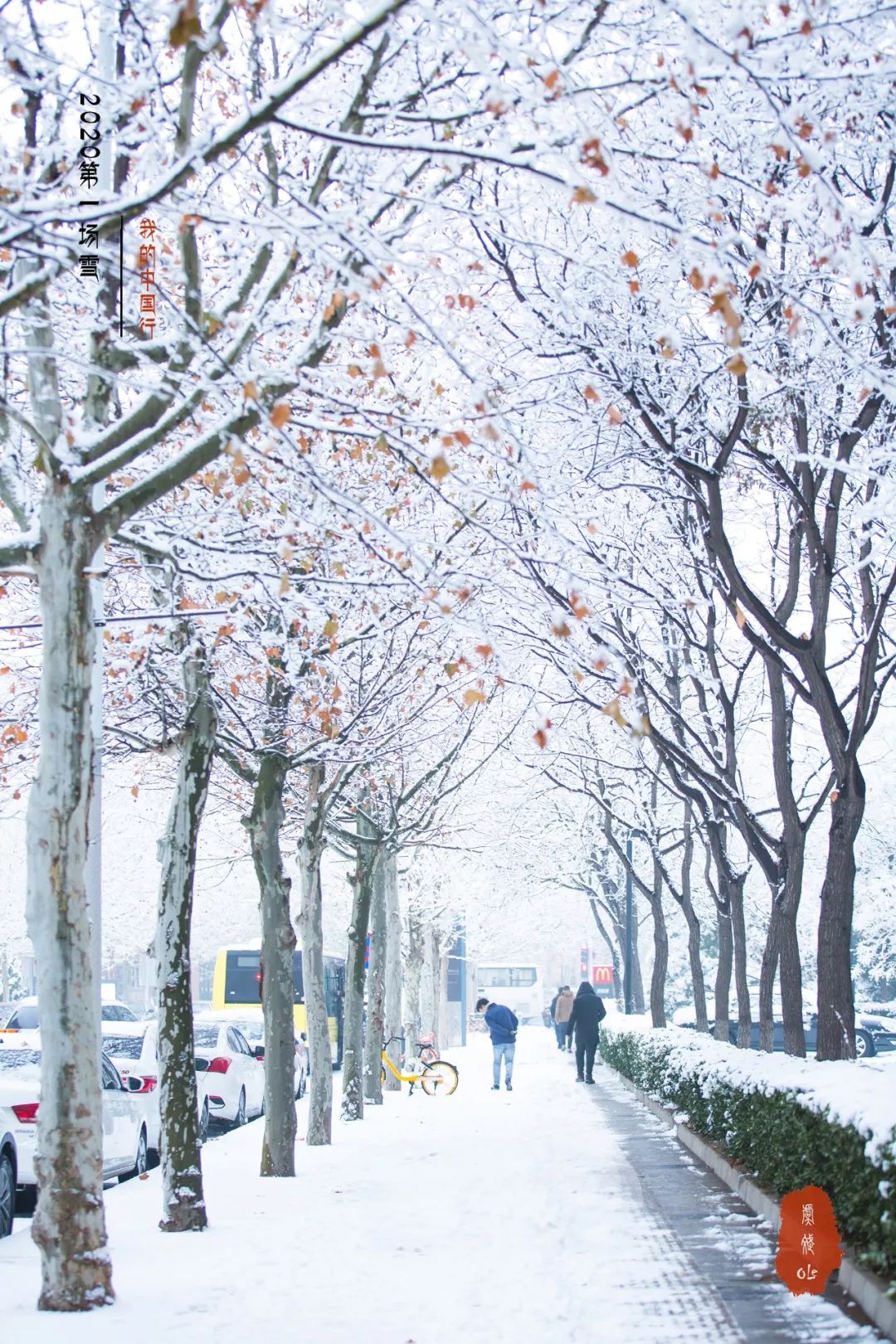 2020年的第一场雪,距离2002年的第一场雪,已经18年了!