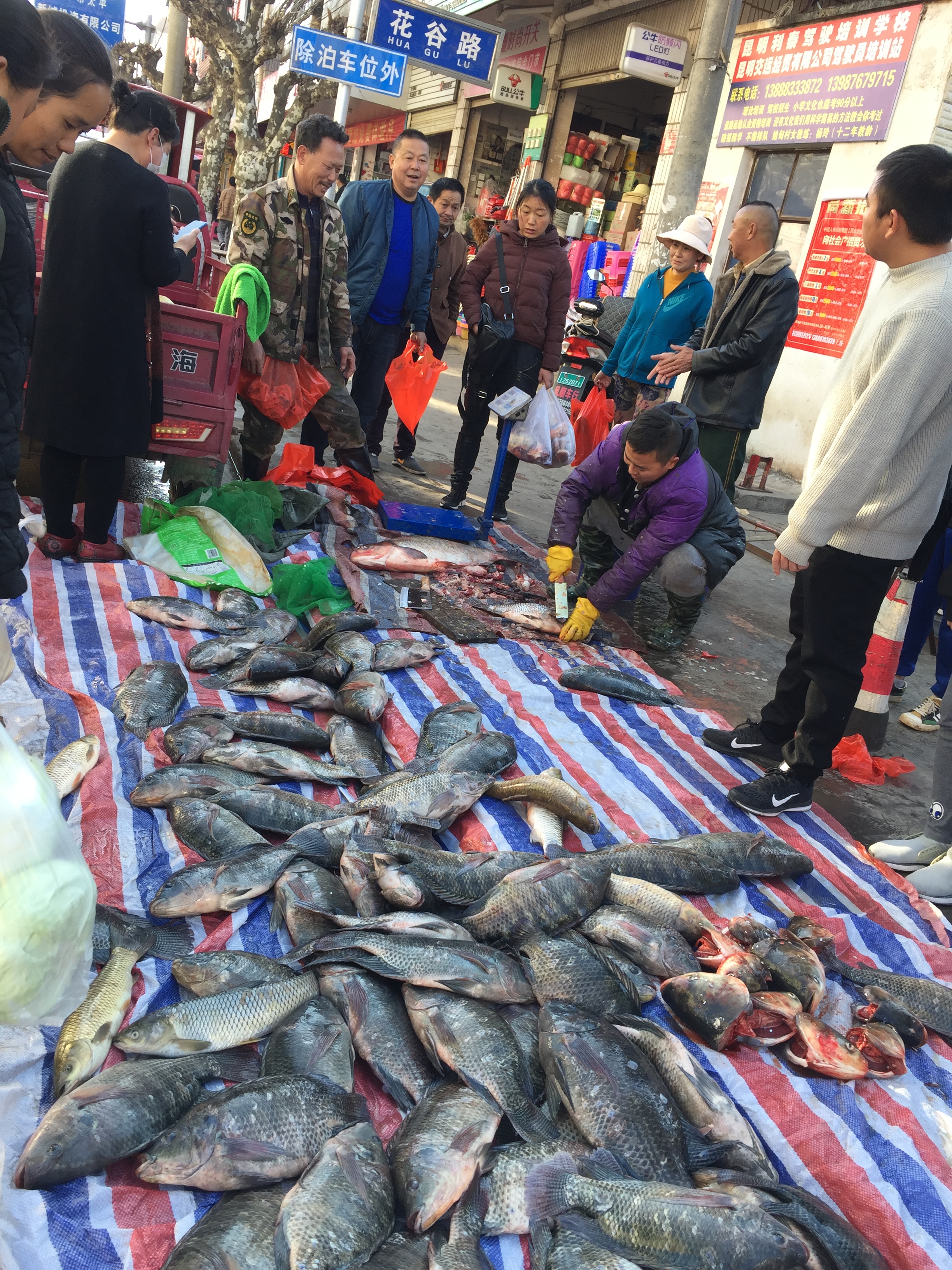 小镇集市:风土人情,土特产品,热闹非凡