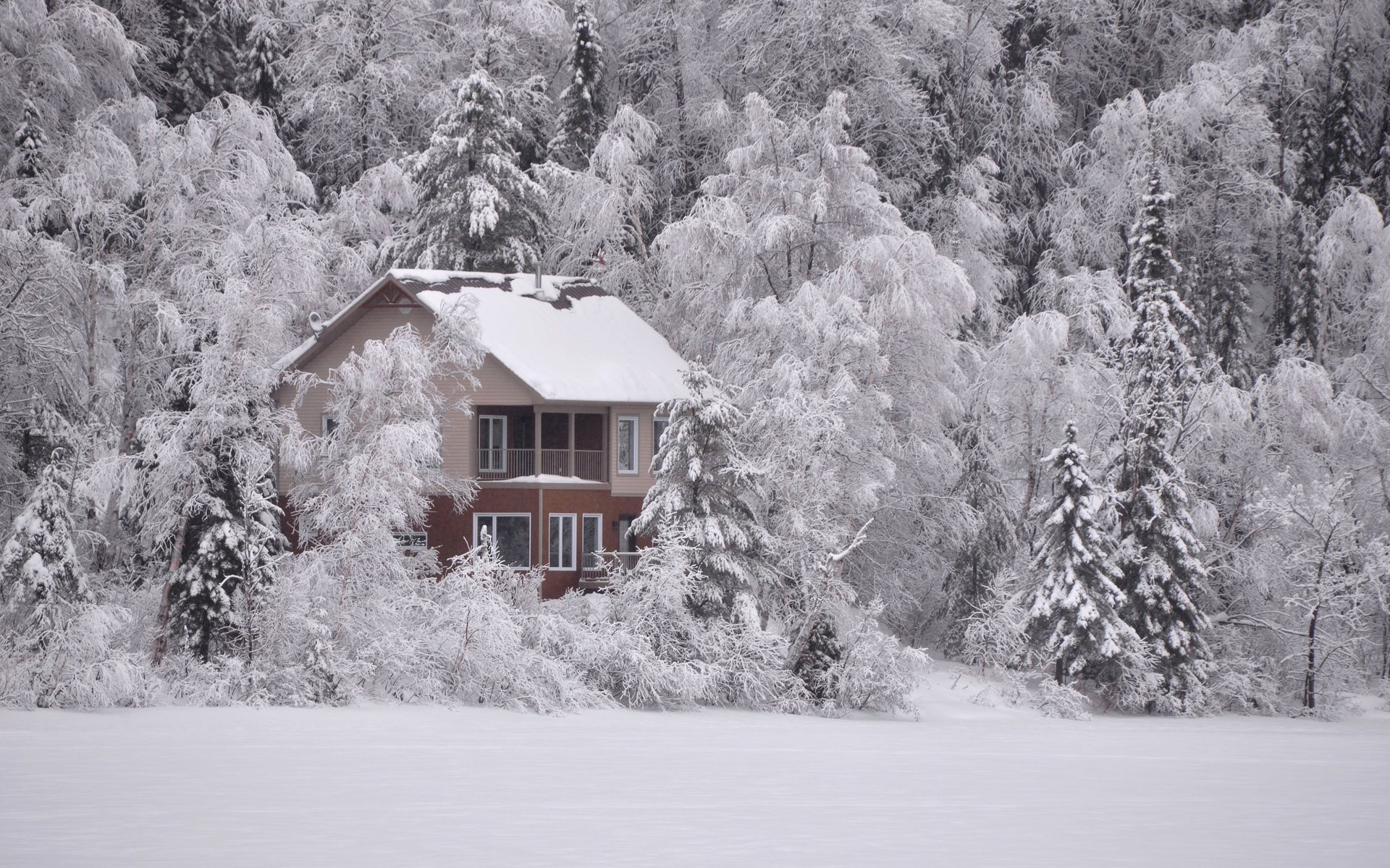 唯美冬日雪景图片电脑壁纸,分辨率:1920x1200