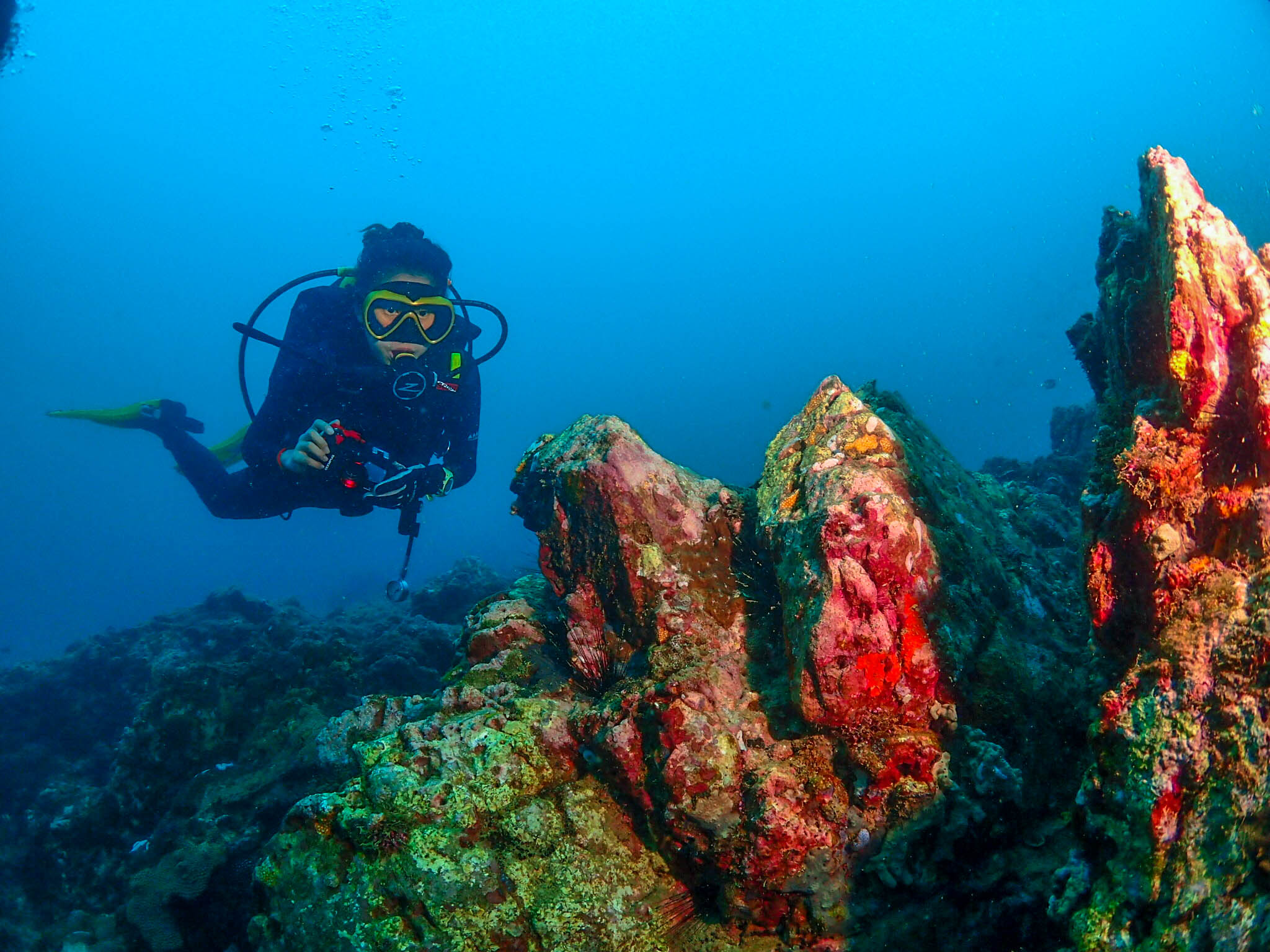 棉花岛—马来西亚—潜水