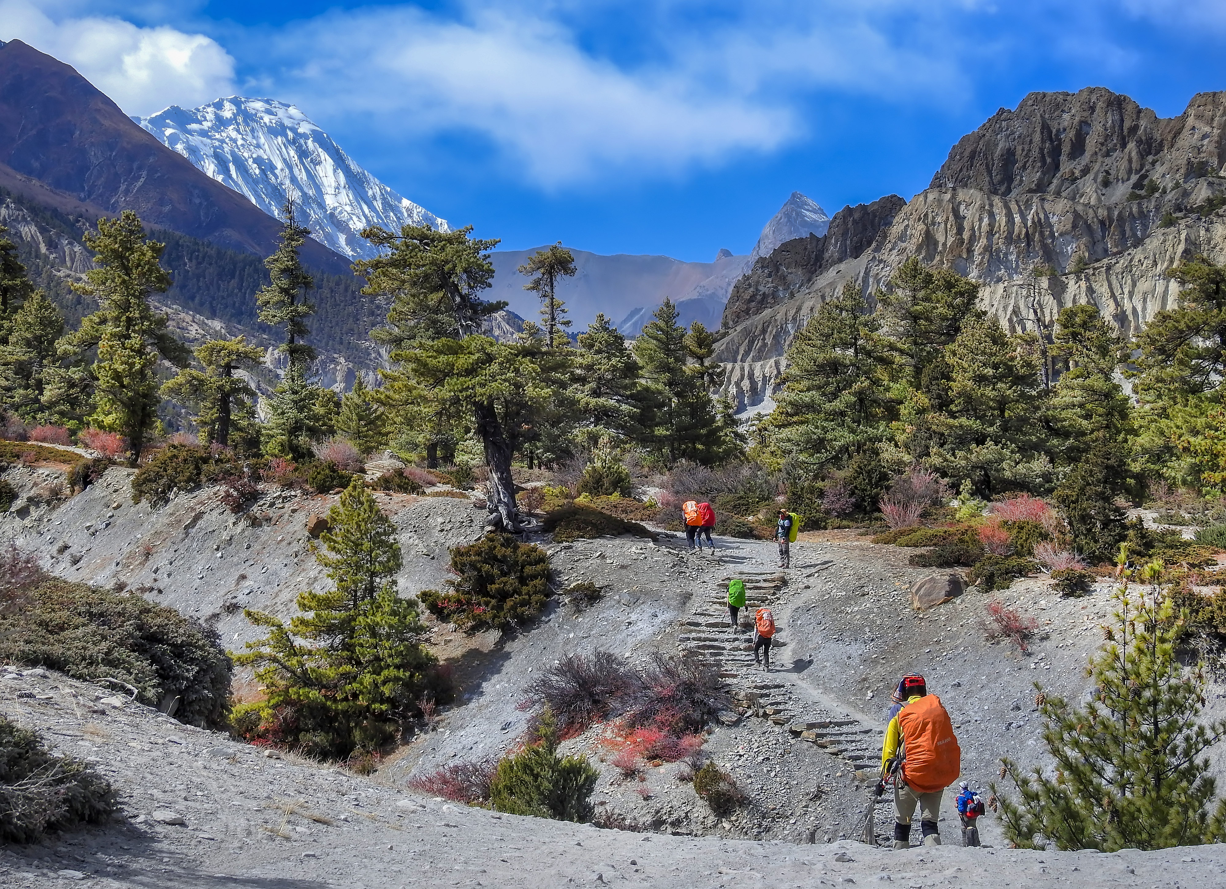 2018尼泊尔act大环线徒步第六天 皮桑至马南