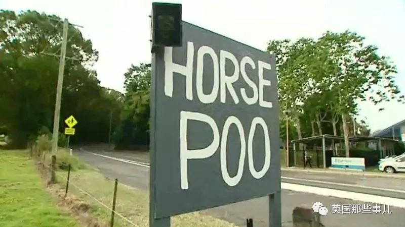 小男孩努力铲马粪攒钱买电脑…没想到居然连屎都有人偷