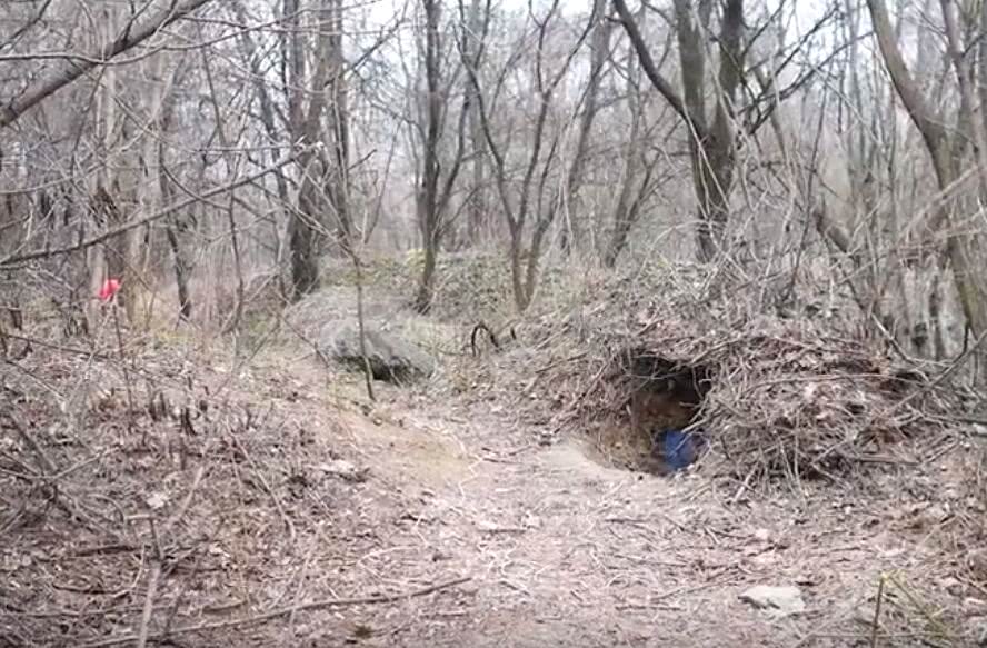 将100响魔鬼鞭炮放入蛇洞中会如何?老外作死实验,结果意外了