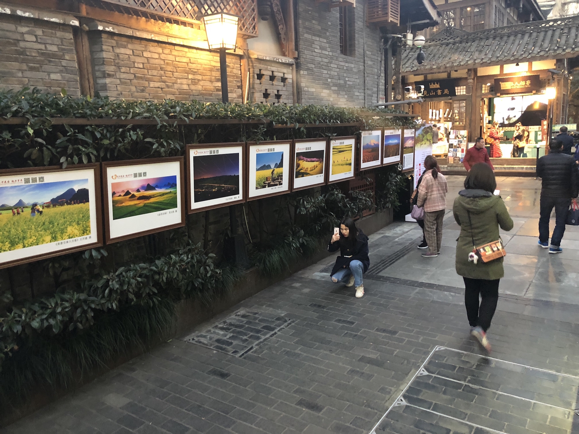 2019年中国·云南·曲靖·罗平国际油菜花文化旅游节宽窄巷子画展