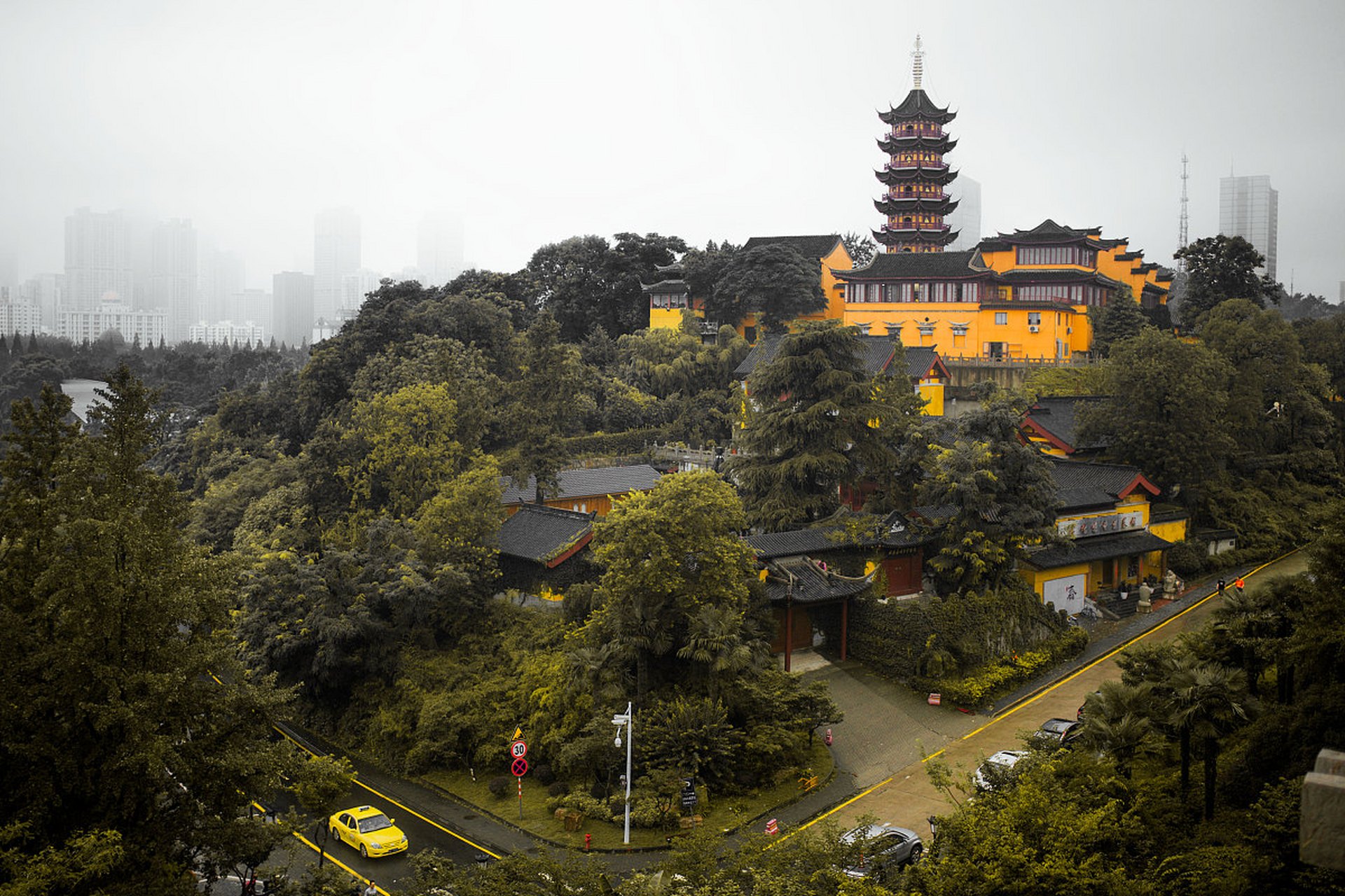 张家港香山:期待中的枫叶盛宴93  每当秋风起,枫叶红,我总会想起那