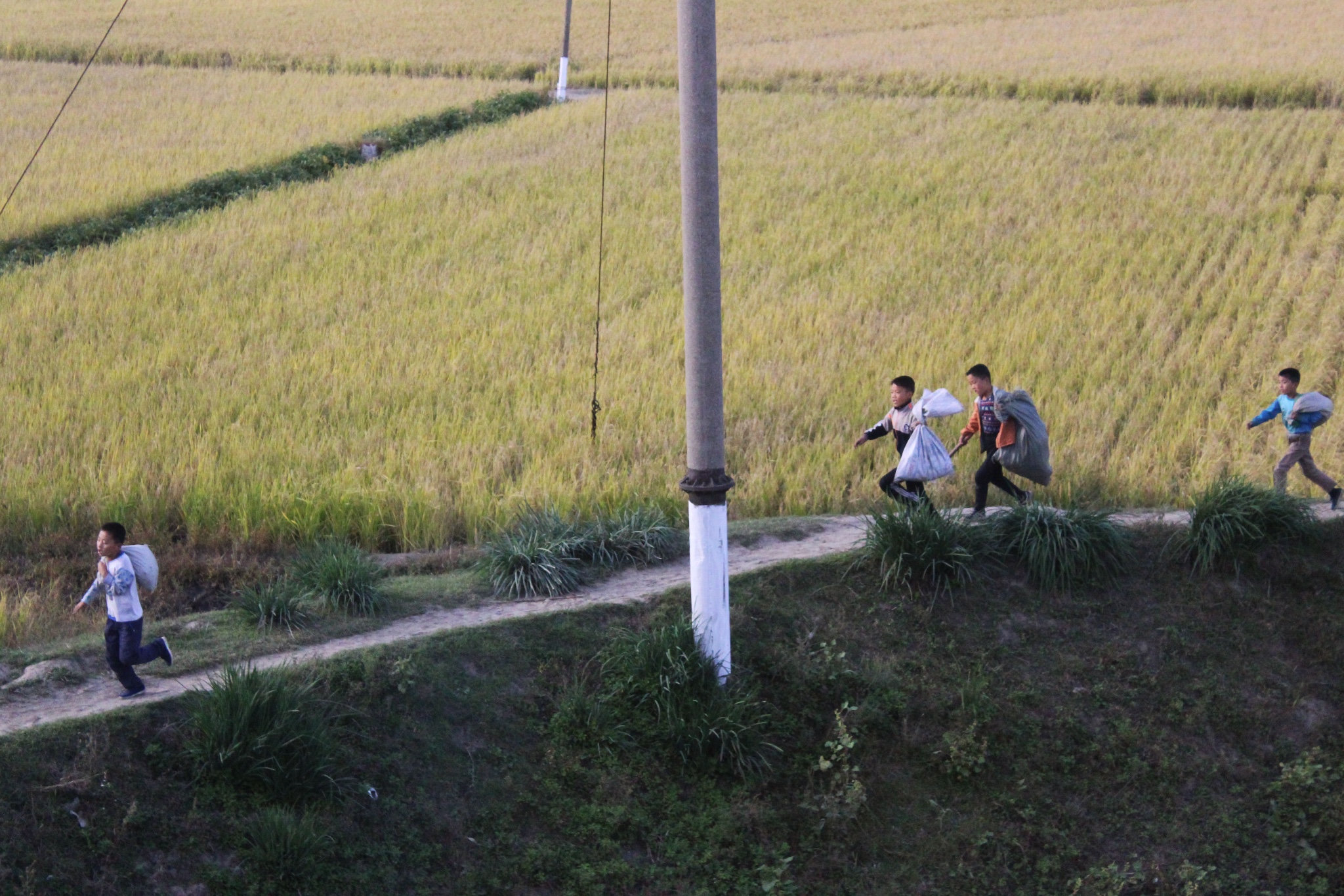 实拍朝鲜农村的小孩,让人想起了童年的岁月!