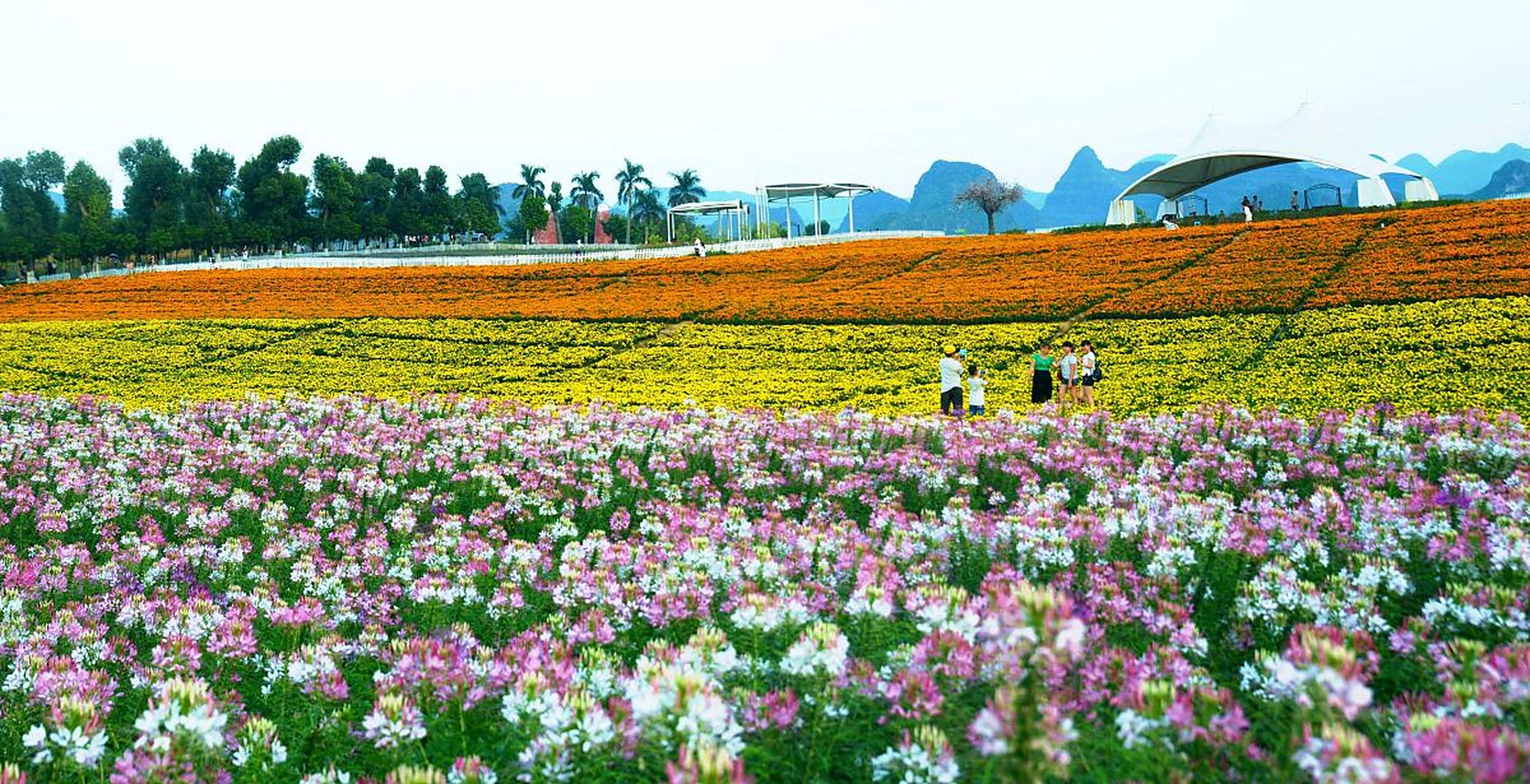 南宁花花大世界,一个集生态观光旅游,户外亲子运动,婚礼婚庆盛典,科普
