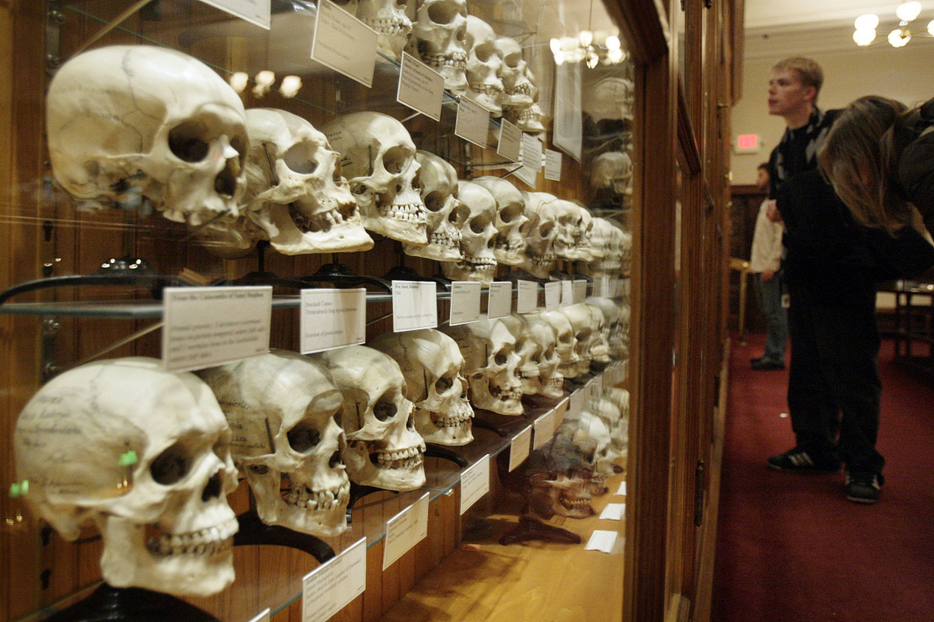 馆  位于美国费城南二街19号的马特博物馆是一个世界闻名的医学博物馆