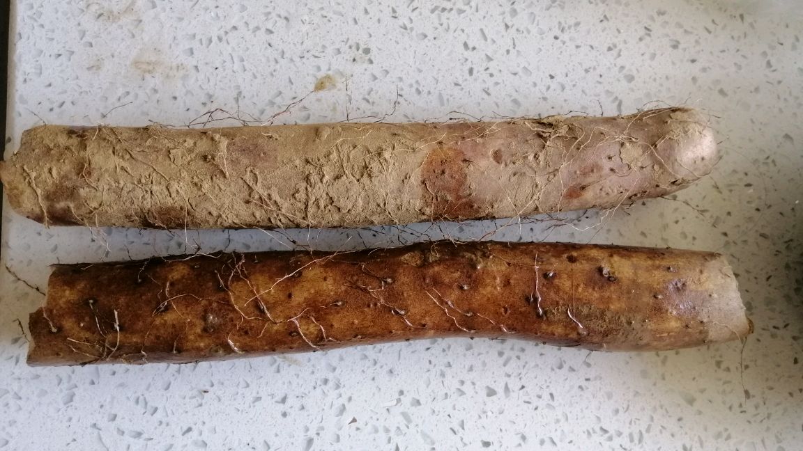 家常山药炒肉,做法简单又营养,清脆爽口超好吃
