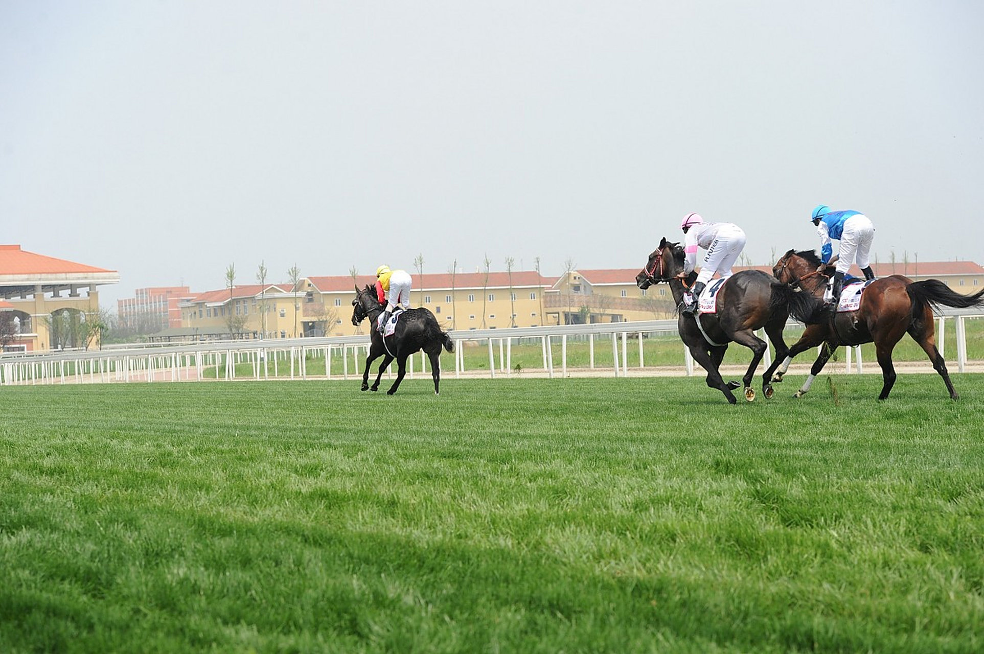 奇遇那拉提#新疆那拉提国际赛马场是中国著名的马术体育运动场所