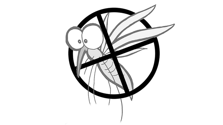 主动出击 被动防御,在这个夏天,是最有效的驱蚊防蚊的方法!