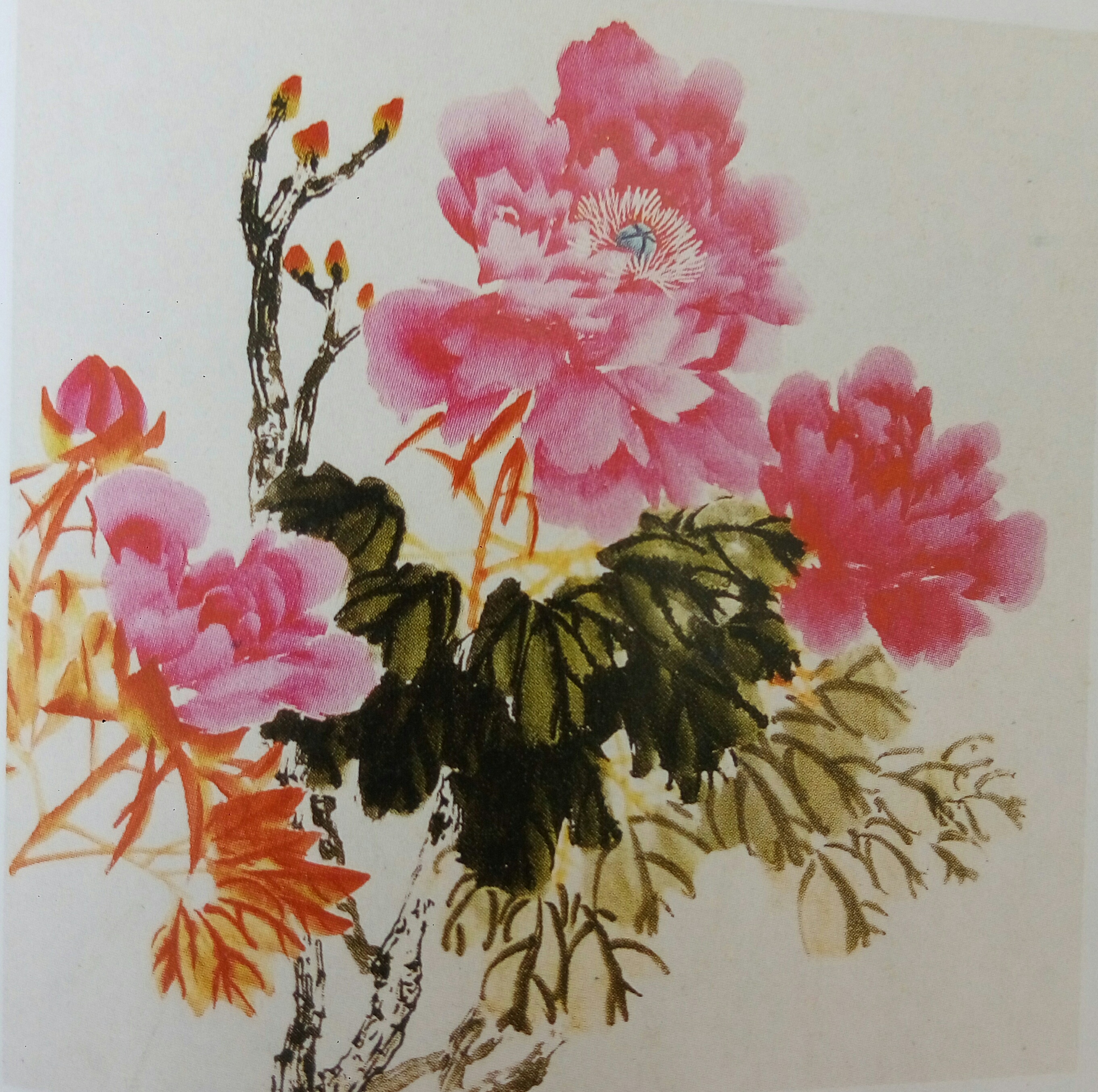 水墨画:写意牡丹技法(四)