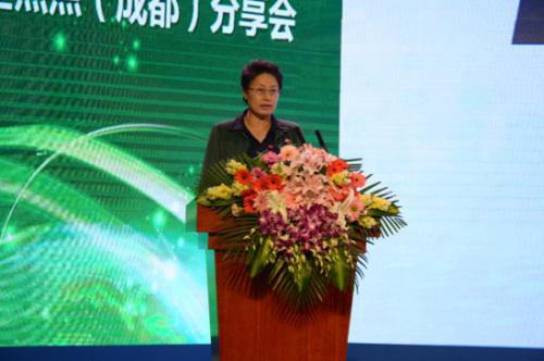 rsac2018分享会 郝叶力:国际网络安全产业需加强协同合作