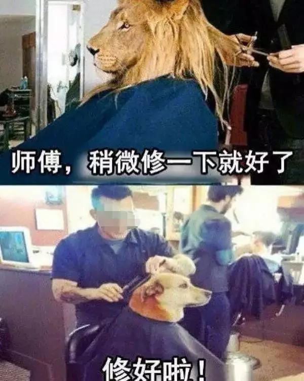 搞笑图片:不要被美女主播骗了,都是骗子!