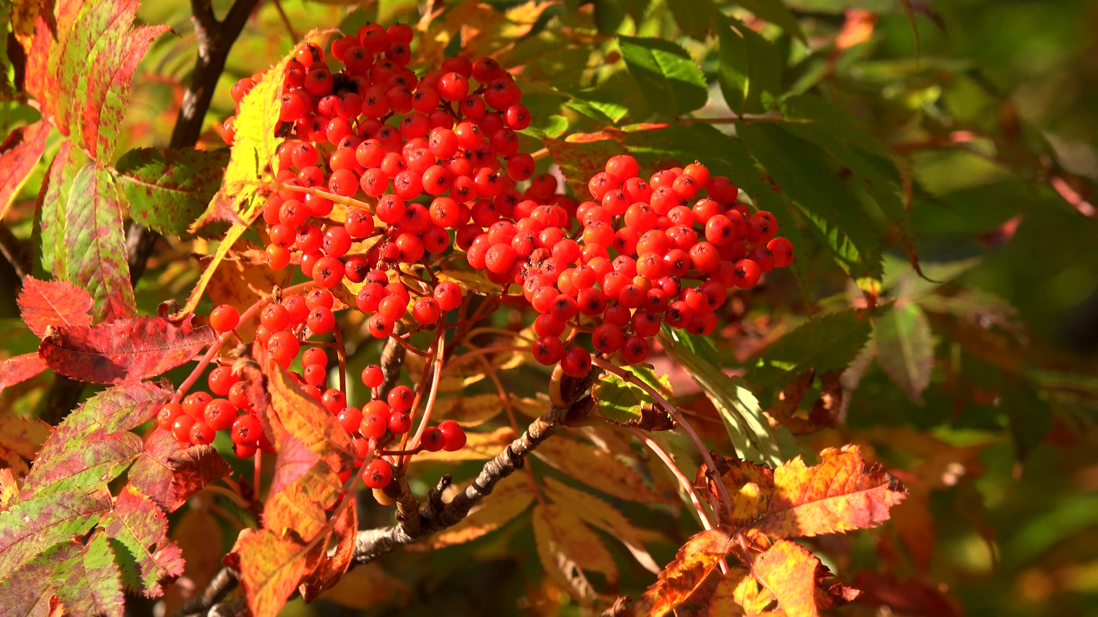 看看风景 | 第六十期