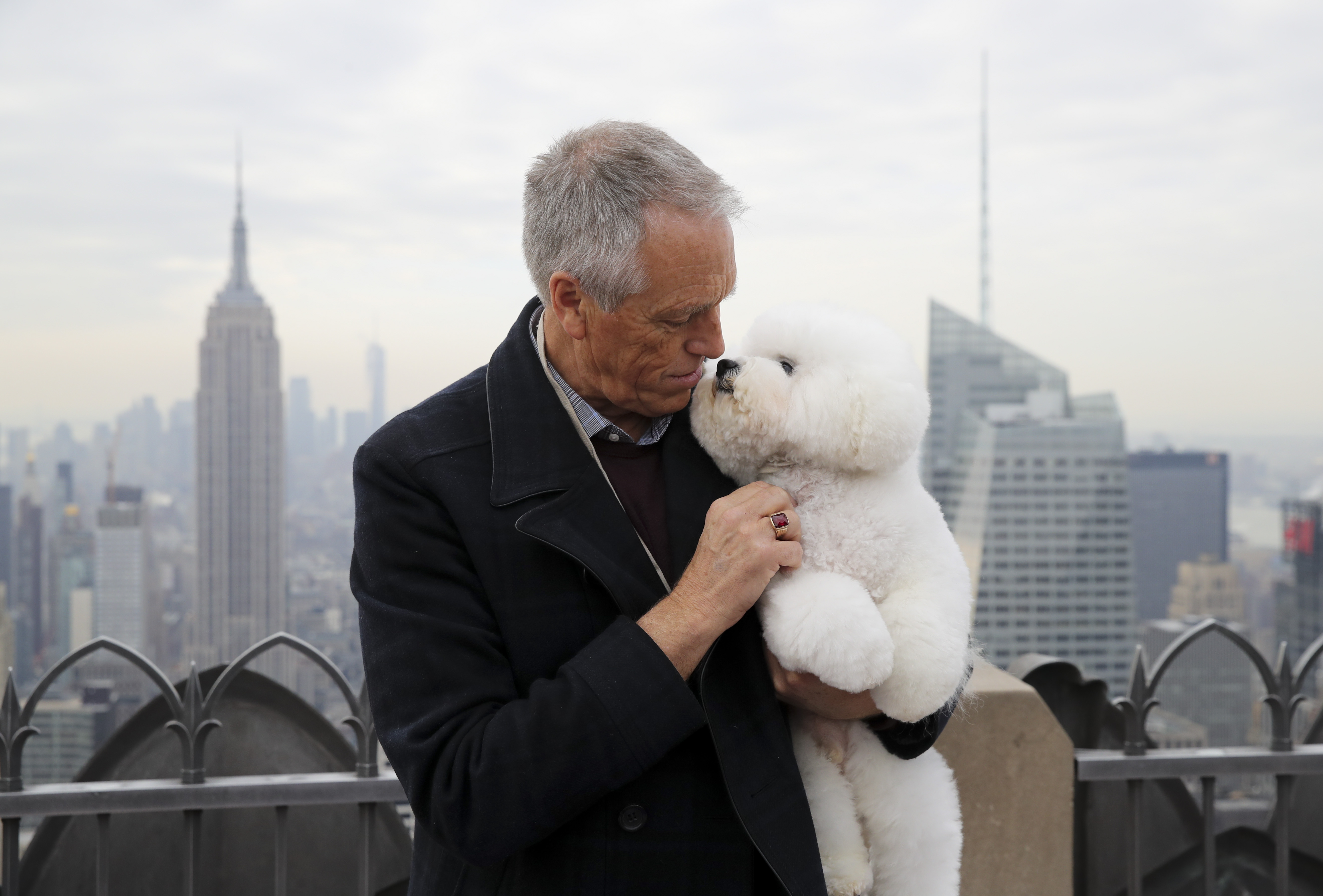 (国际)(1)最佳秀犬"登顶"纽约洛克菲勒中心