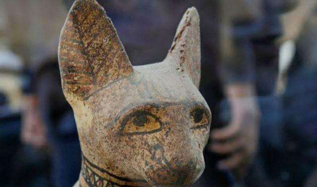 新发现:埃及出土猫咪等在内的10多个动物木乃伊,可爱极了