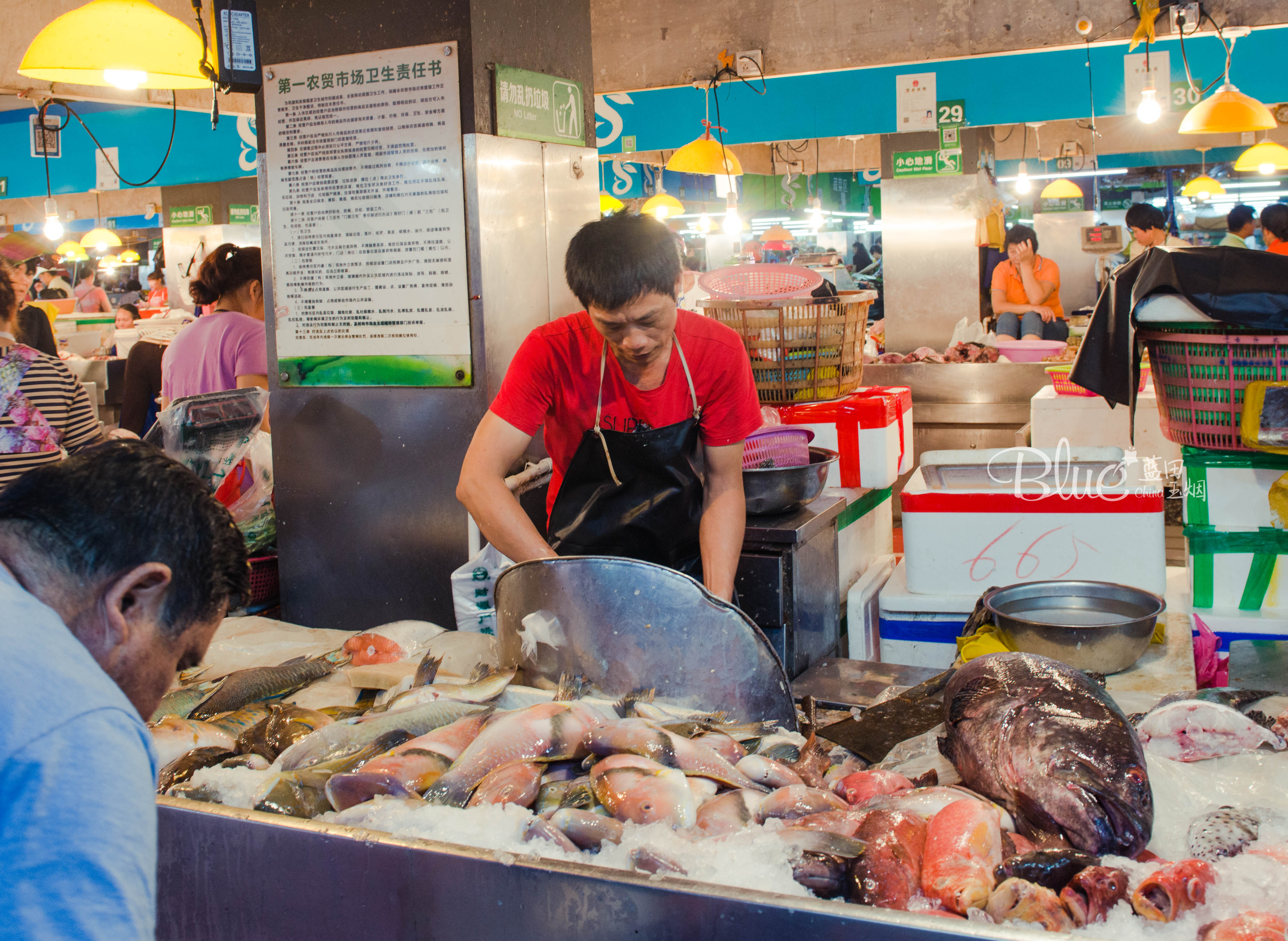 三亚第一市场,到这里来的游客,不是来买个新鲜就是来看个新鲜
