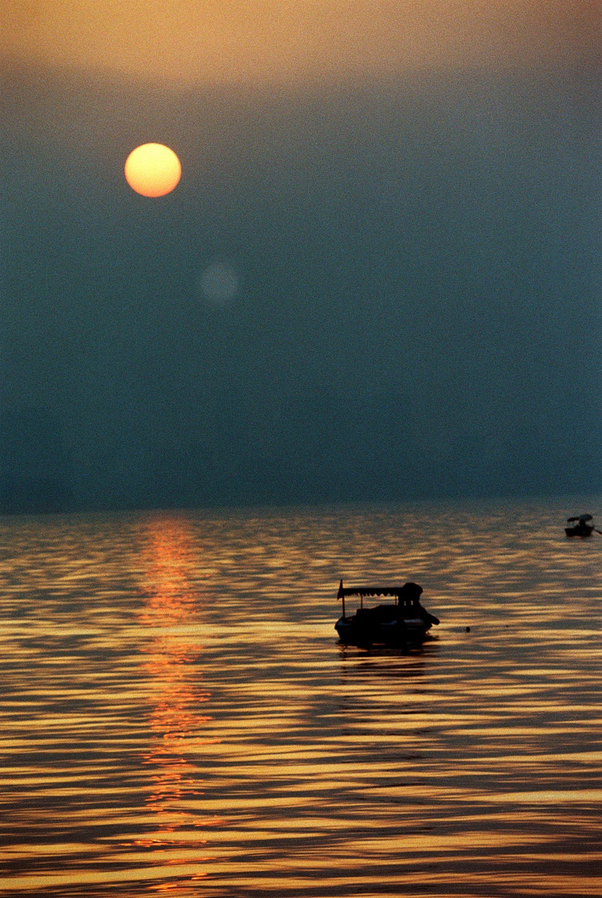 每日读一首诗词,今天读一首唐代诗人王昌龄的《送魏二》.