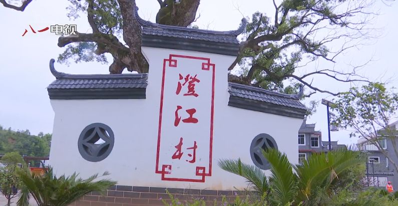 葛坳乡澄江村:千年古村的"导弹绿"