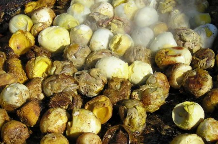 这种食物不止外国人怕,连传闻中什么都吃的广东人都说不敢吃