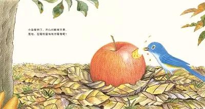 「绘本故事」经典绘本故事:好大的苹果