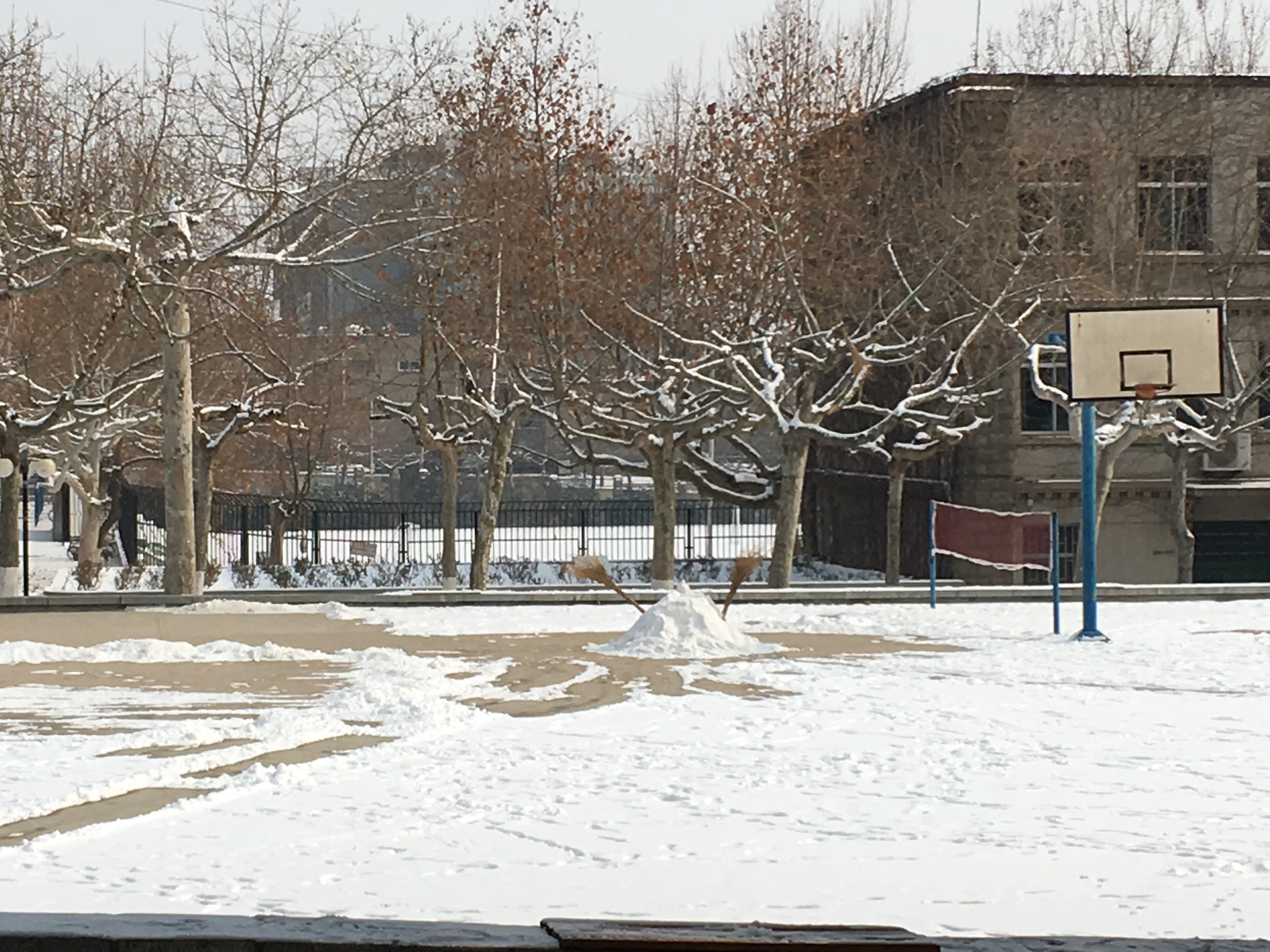 大雪过后的泰安,是泰山郡(一)