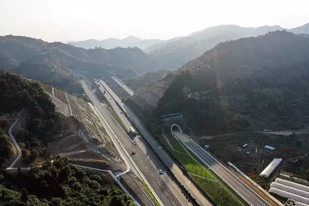 沿海高速温州乐清段今全线通车!短途游更省时,除了美景还有这些