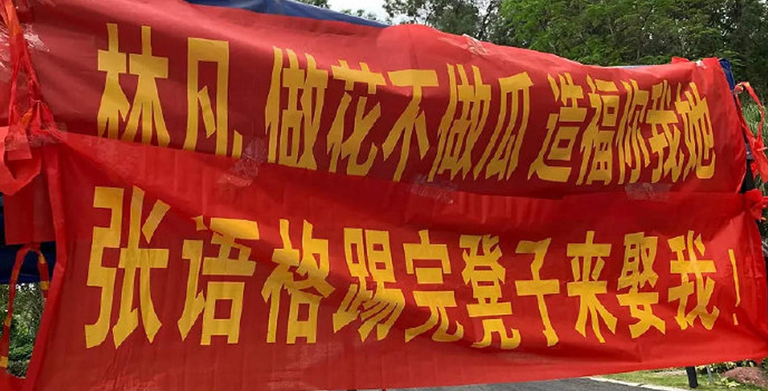 近日,《青春有你》训练生应援横幅释出,林凡,喻言,张语格等粉丝应援都