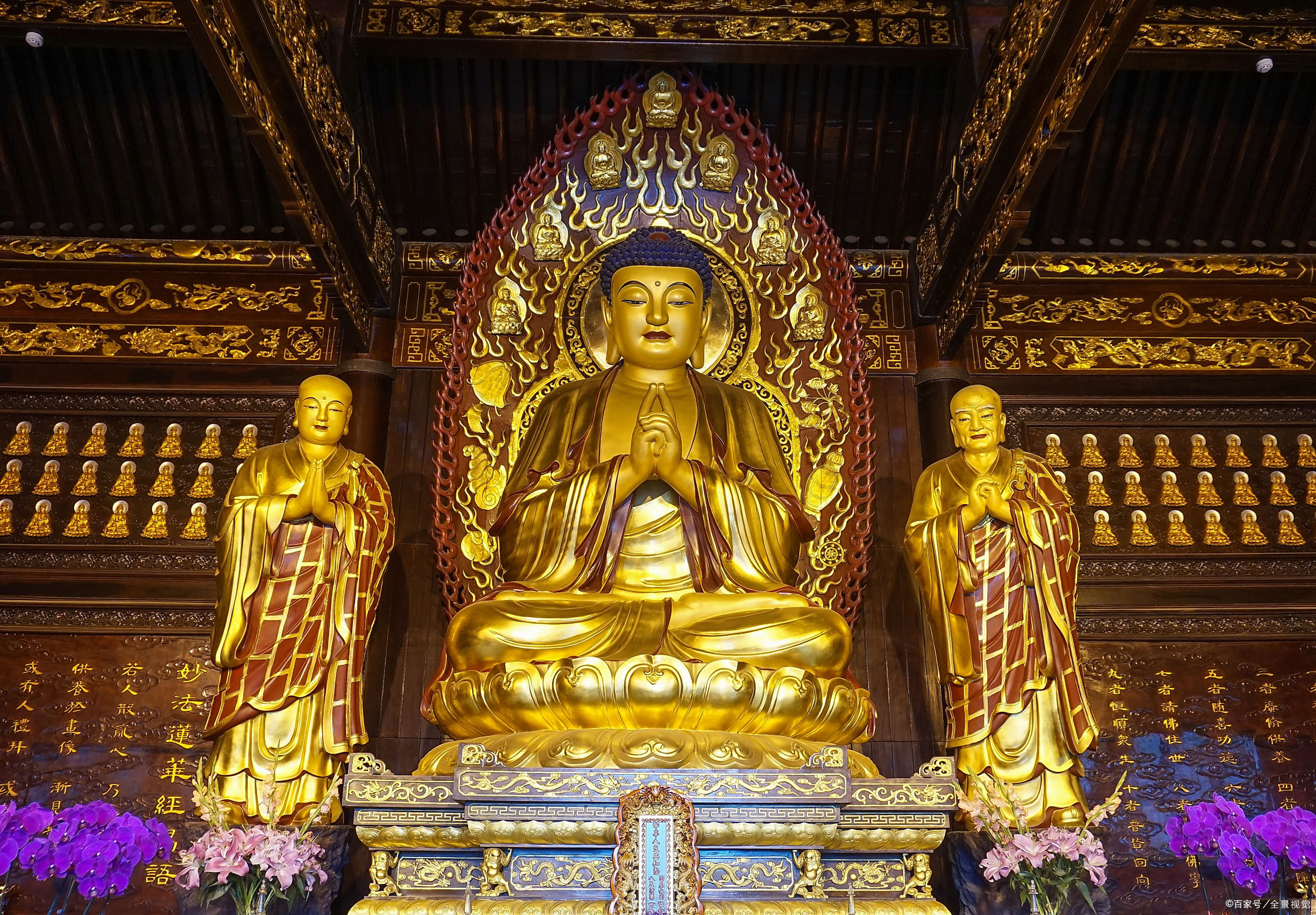 供放- 优质问答专区