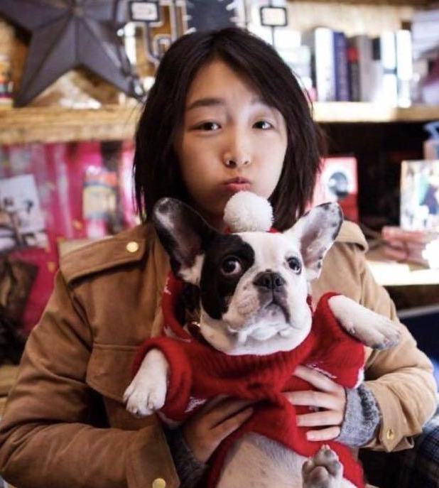 法斗是众多明星的爱宠,它为何能夺取他们的芳心呢?原因就在这