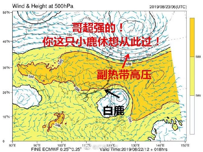 汕尾大佬刘义成图片图片