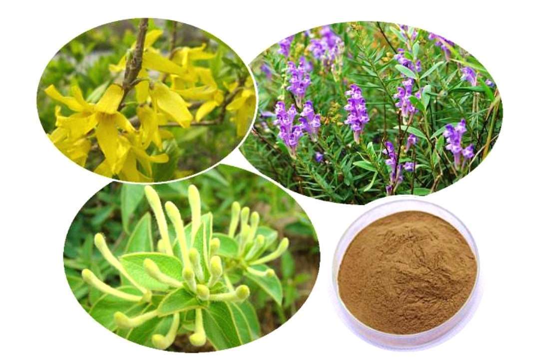 如何看:武汉病毒所发现中成药双黄连可抑制新冠病毒?依据何在?