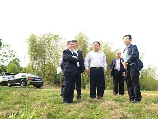 株洲市顾峰的妻子是谁图片