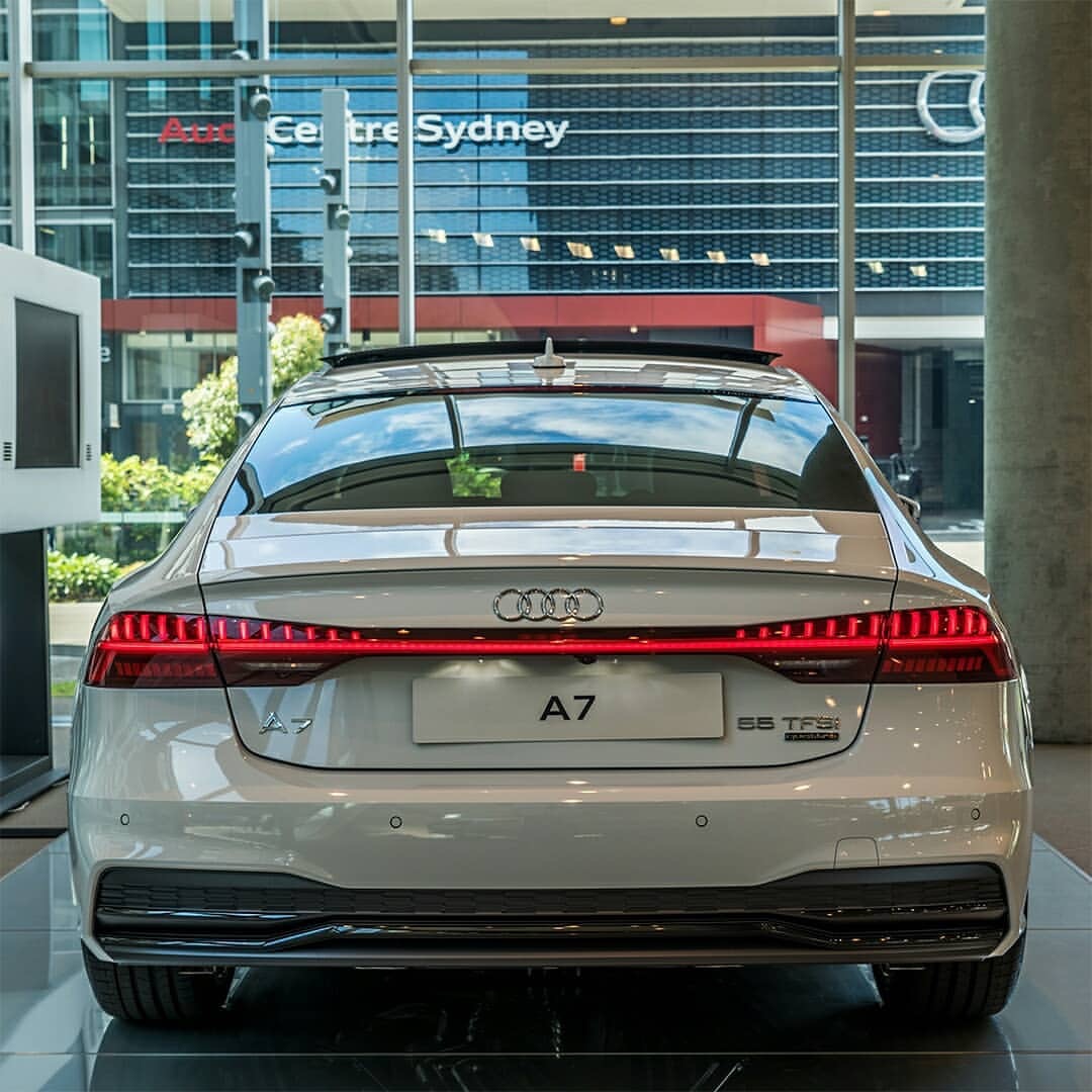 尾部 转载自百家号作者:小美摄影看看