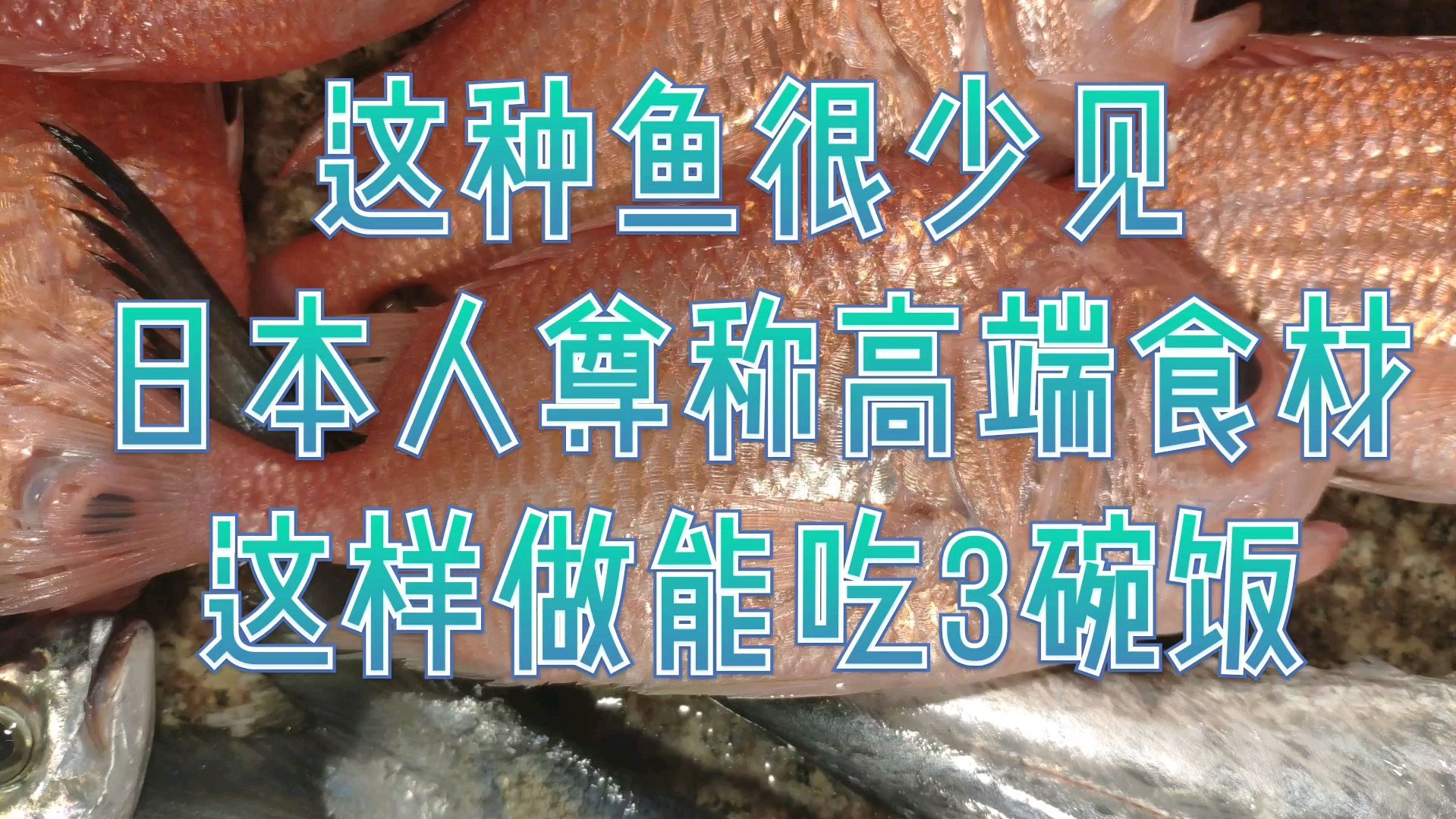 少见的红鲷鱼这样做能吃3碗饭