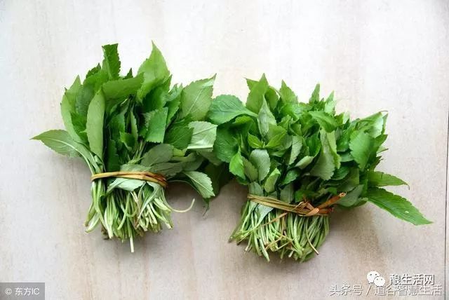 【小满】小麦渐黄 小得满盈(谷菜养生)
