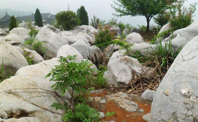 芜湖丫山花海石林图片