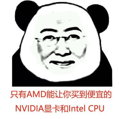 说好的“AMD,YES”,你却默默英特尔真香(为什么AMD,YES) 说好的“AMD,YES”,你却默默英特尔真香(为什么AMD,YES)
