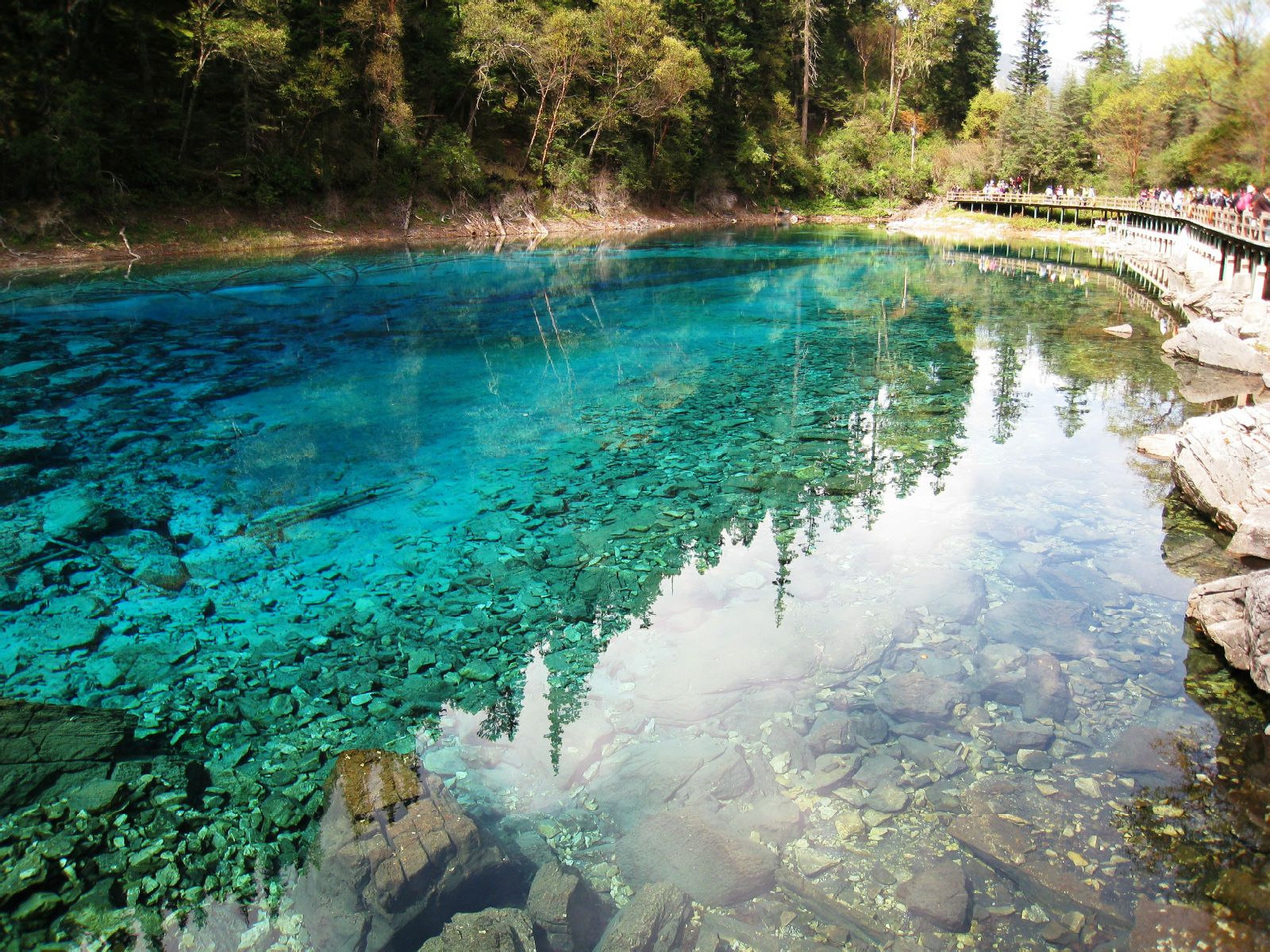 盘点水面平静的旅游休闲场所,你去过阿坝九寨沟五彩池,阿坝熊猫海吗